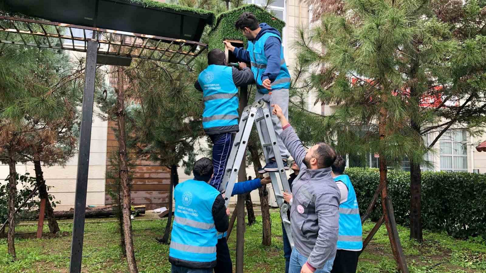 Yurt öğrencileri kuşlar için ev yaptılar
