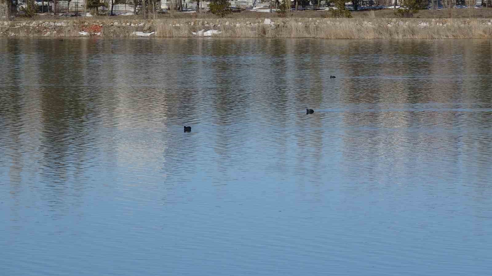 Yüzlerce balık telef olmuştu, o göl yeniden doldu
