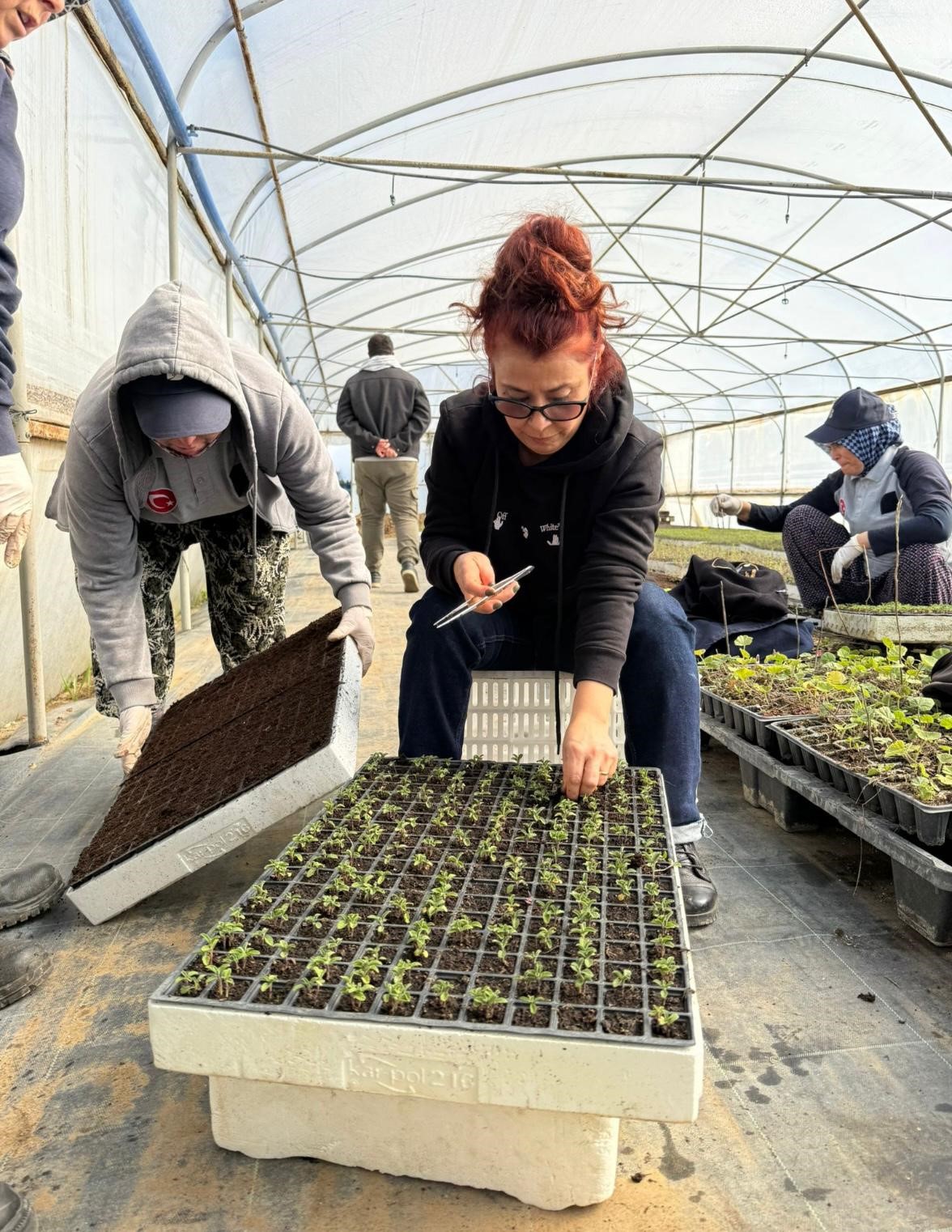 Zeytincilik öğrencileri BAÇEM’de uygulamalı eğitim aldı
