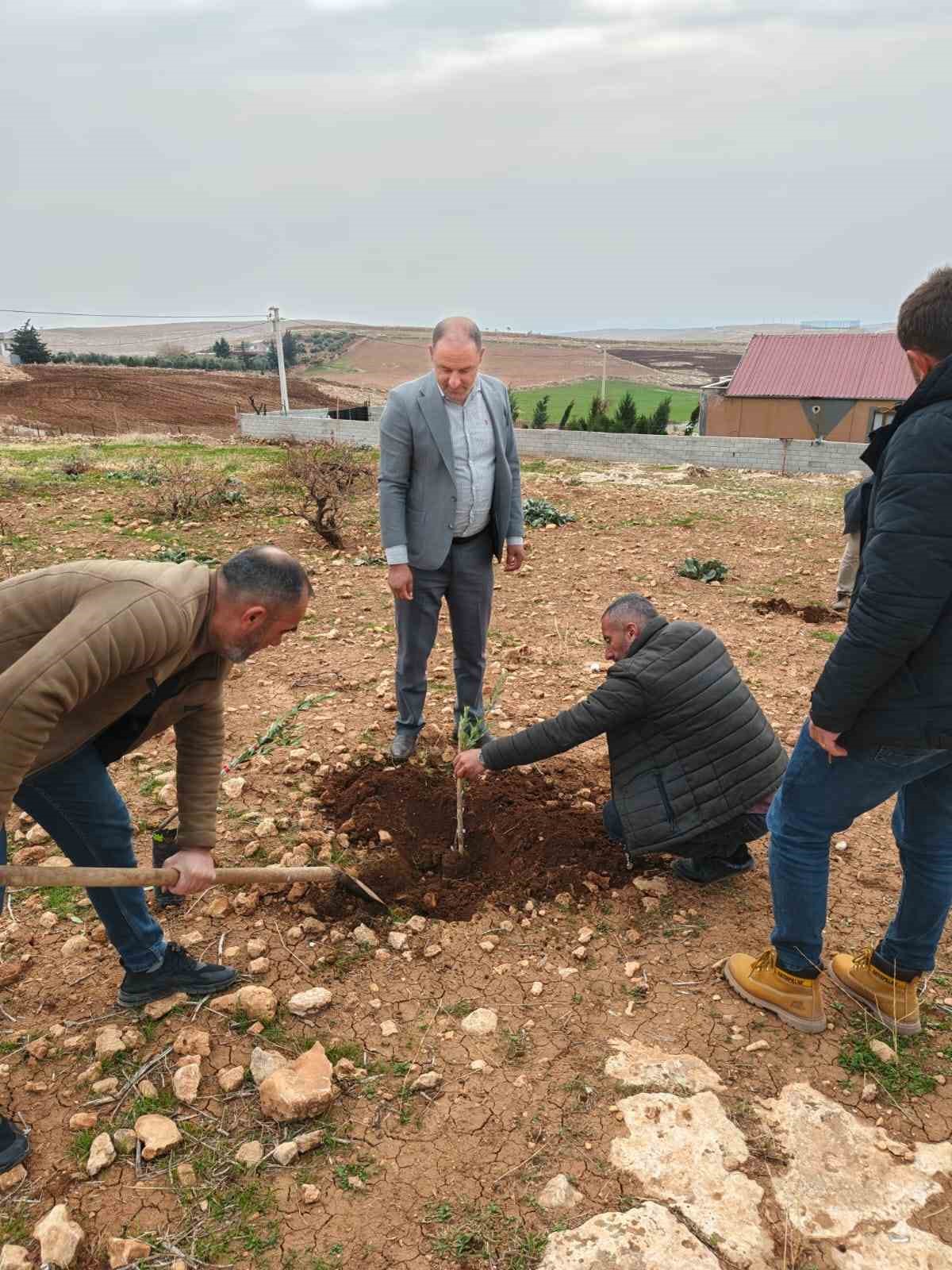 Zeytinli Mahallesi sıfır atık köyü olma yolunda ilerliyor

