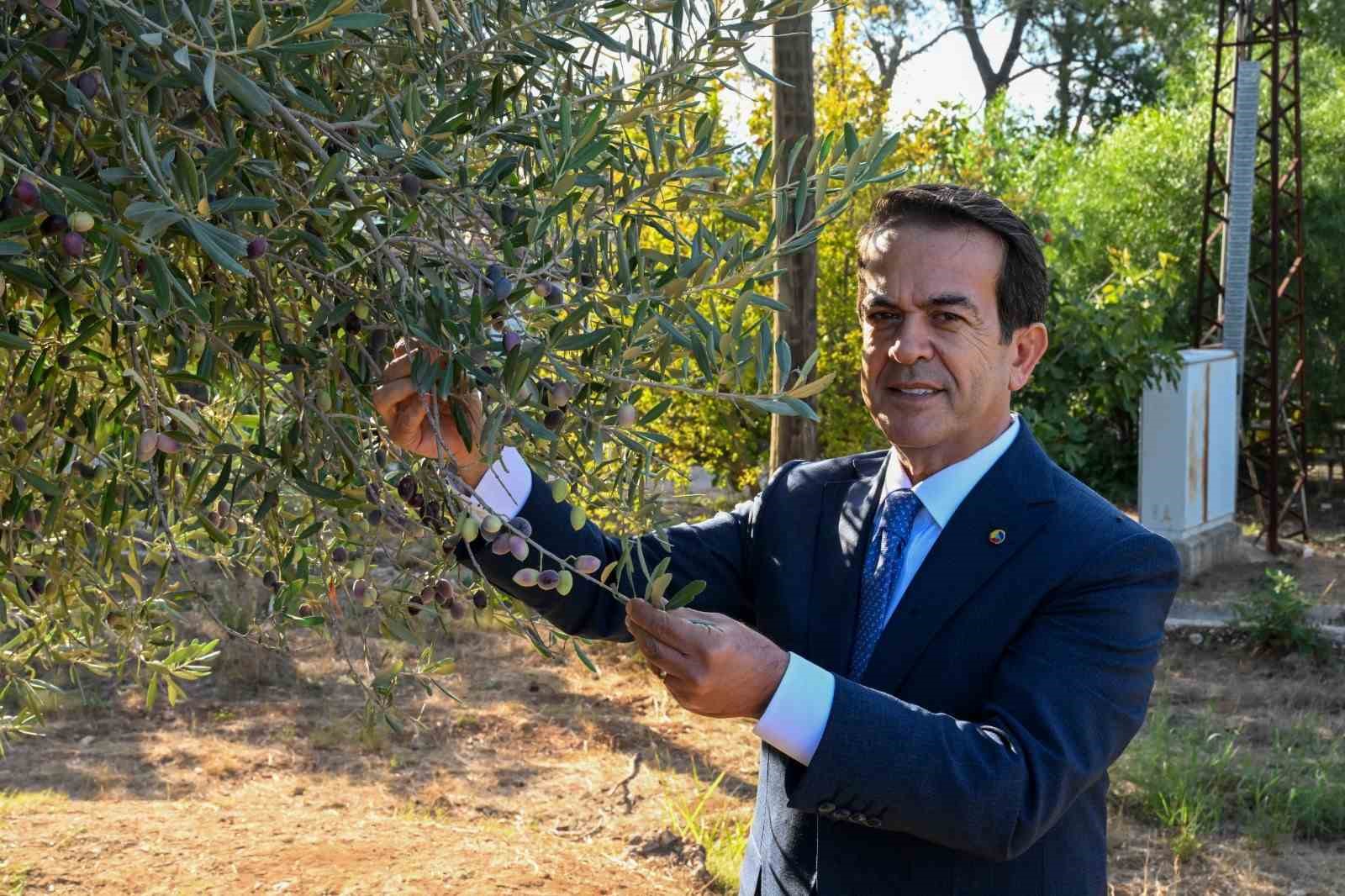 Zeytinyağı kalite yarışması için son gün 15 Ocak
Zeytinyağı kalite yarışması için son gün 15 Ocak