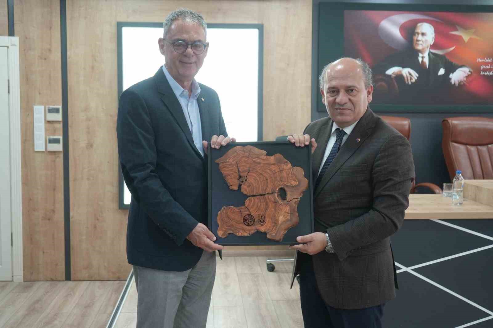 Zeytinyağında tecrübe paylaşımı
