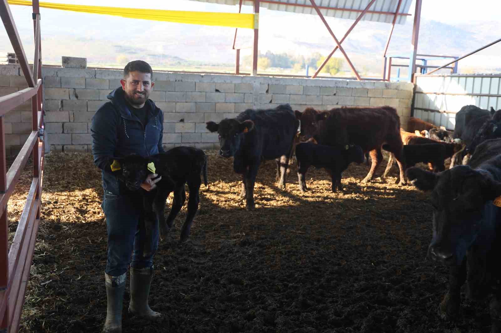 Ziraat mühendisliğini bırakarak devlet desteğiyle kurduğu çiftlikte hayvancılığa başladı
