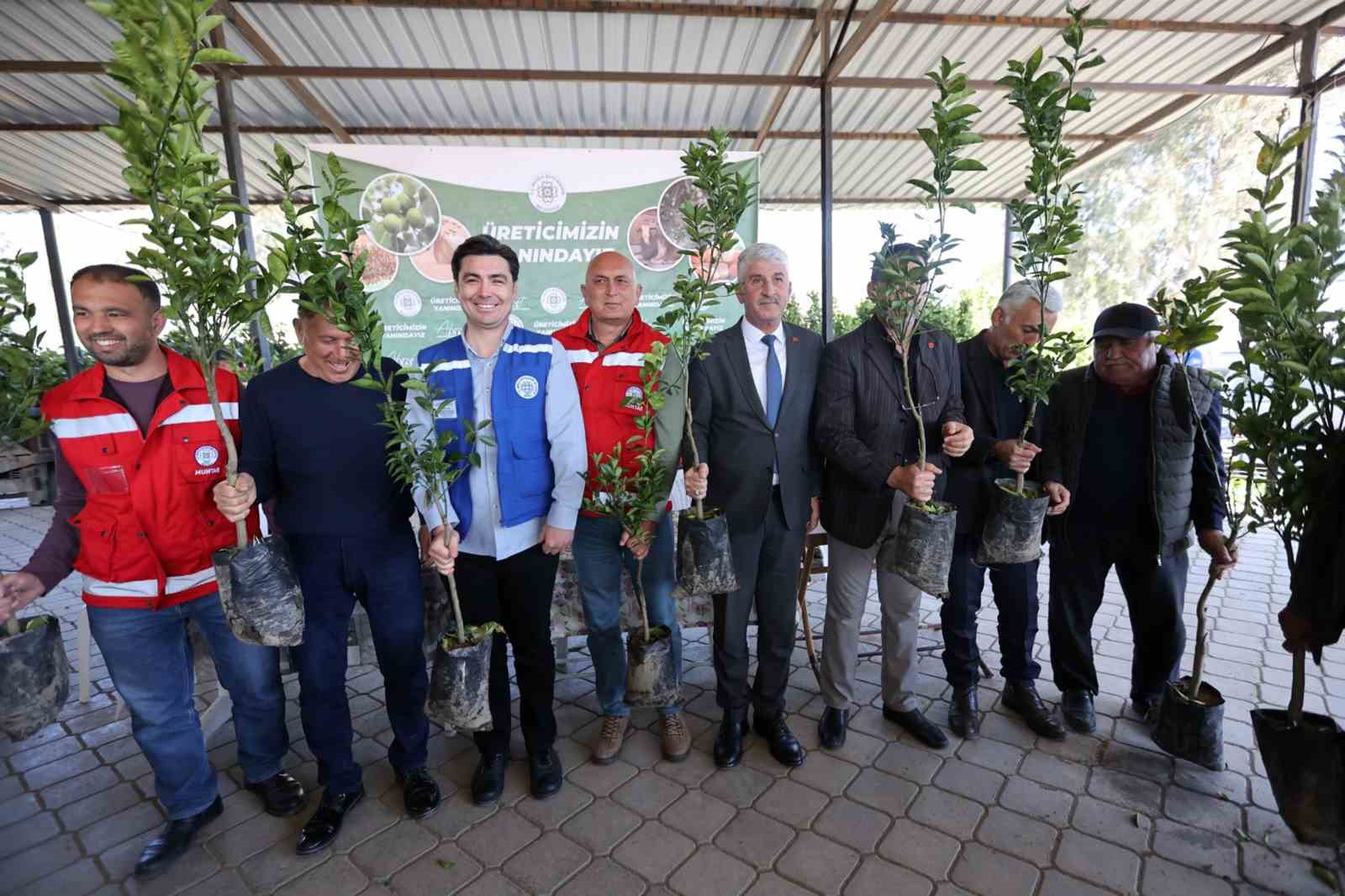 Zirai dondan zarar gören üreticilere fidan desteği
