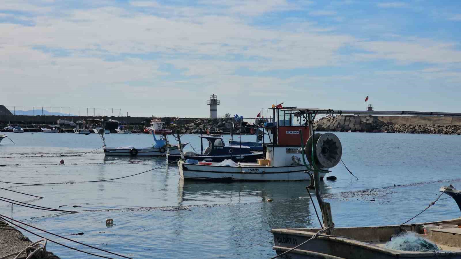 Zonguldak’ta limandan 500 ton hamsi çıktı
