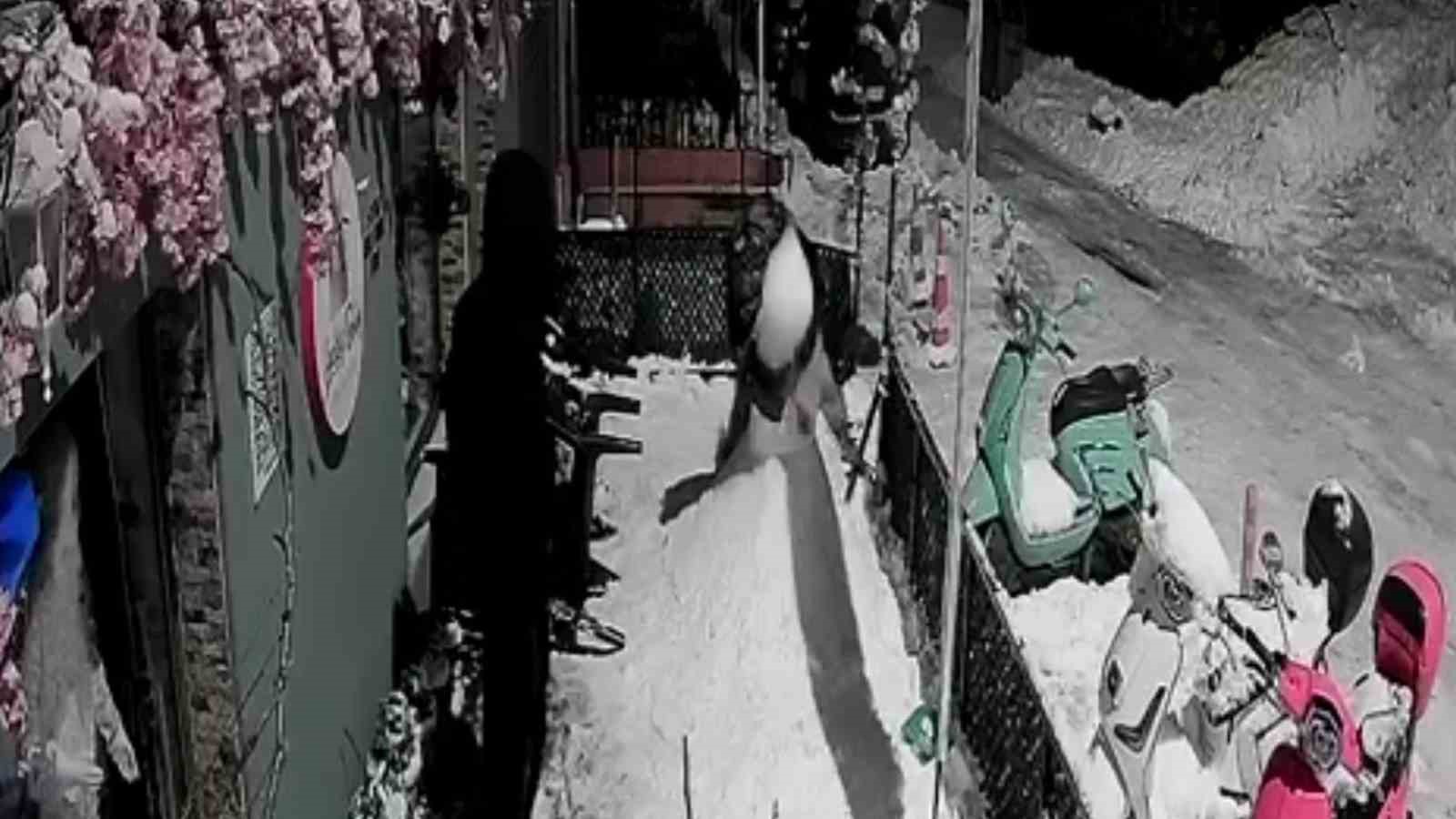 Zonguldak’ta pes dedirten olay; "Bana çarptı" deyip kardan adamı dövdüler
