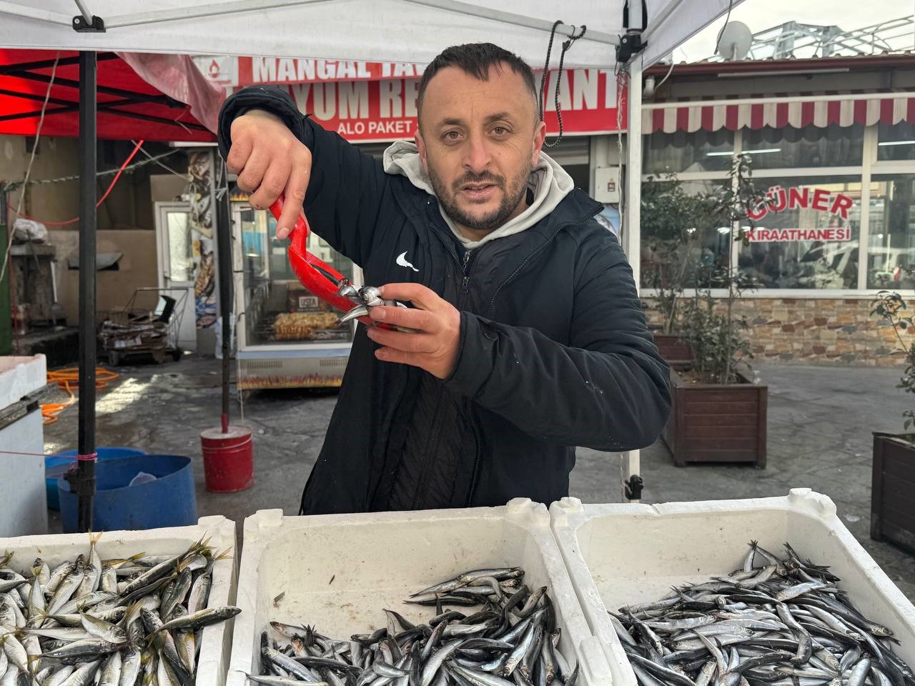 Zonguldak’ta tezgahlar istavritle şenlendi
Zonguldak’ta tezgahlar istavritle şenlendi