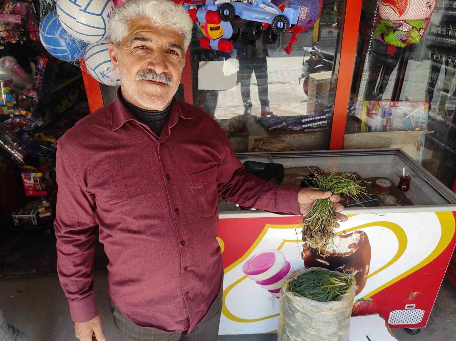 Zuzubak otu, köylüler için önemli bir gelir kapısı
