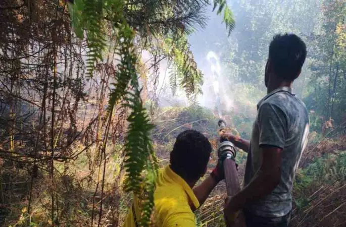 Kastamonu’daki orman yangını büyümeden söndürüldü