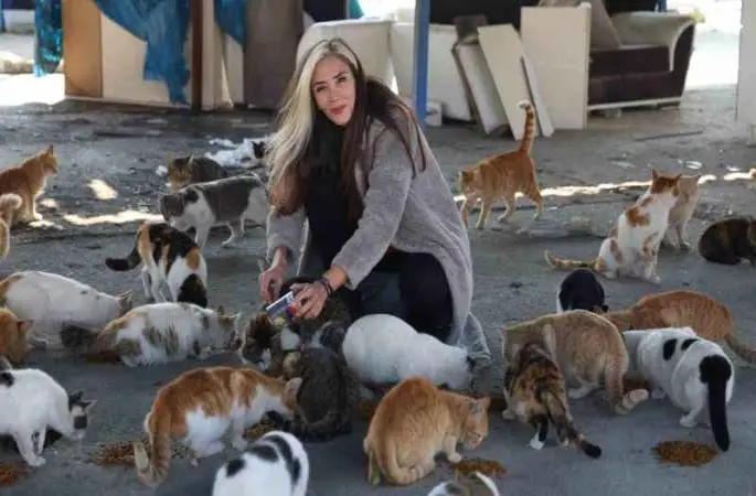 Fatma öğretmen, enkaz kentin sokak hayvanlarına umut oldu