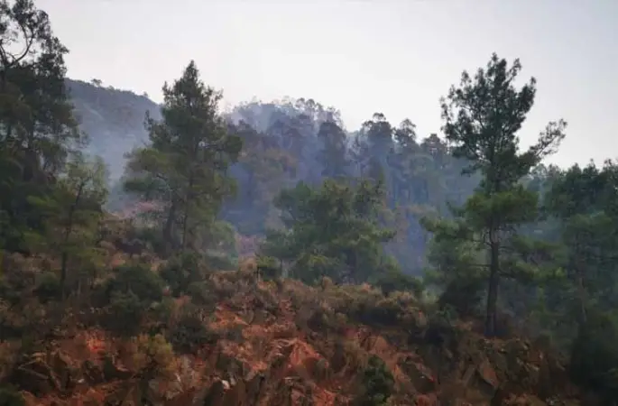 Marmaris’teki orman yangını kontrol altına alındı