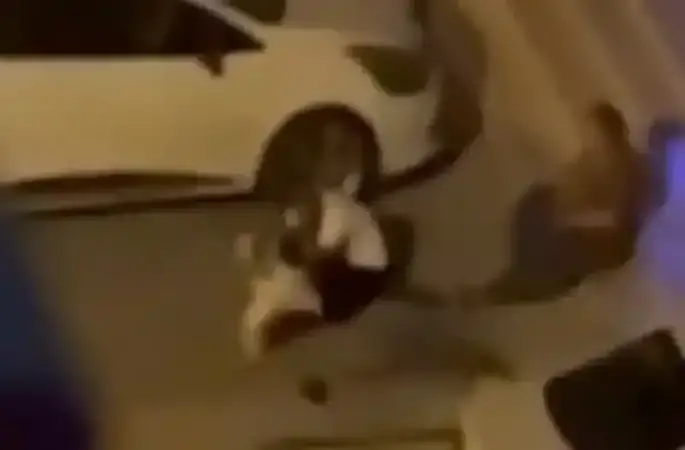 Adana’da evden kaçan pitbull dehşeti kamerada: Sahibini ve 2 kişiyi yaraladı