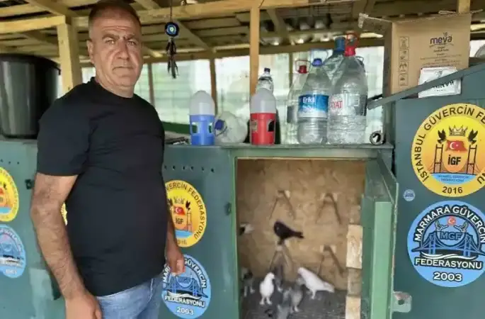 Pendik’te 11 bin Euro fiyatındaki güvercini çelik kulübelerde besliyor