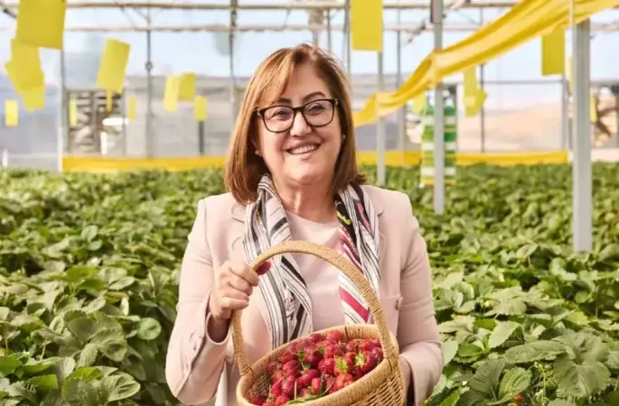Çöplerden elde edilen ısıdan yararlanılan çilek serası ilk hasadını verdi