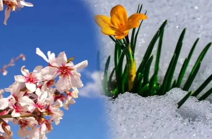 Havaya Cemre Mi Düştü? HAVALAR ISINDI BAHARIN MÜJDECİSİ CEMRE ETKİSİ! İlk Cemre Ne Zaman, Nereye Düştü? Cemre Hangi Gün Düştü, Düşer?