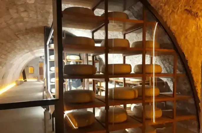 Kars Peynir Müzesi, 7 ayda 60 bin kişiye kapılarını açtı