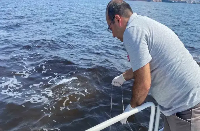 Çevre ve Şehircilik Bakanlığı’ndan İzmir Körfezi’ndeki balık ölümlerine inceleme