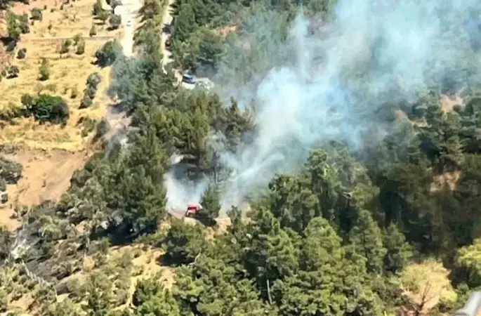 İzmir’de ormanlık alanda yangın