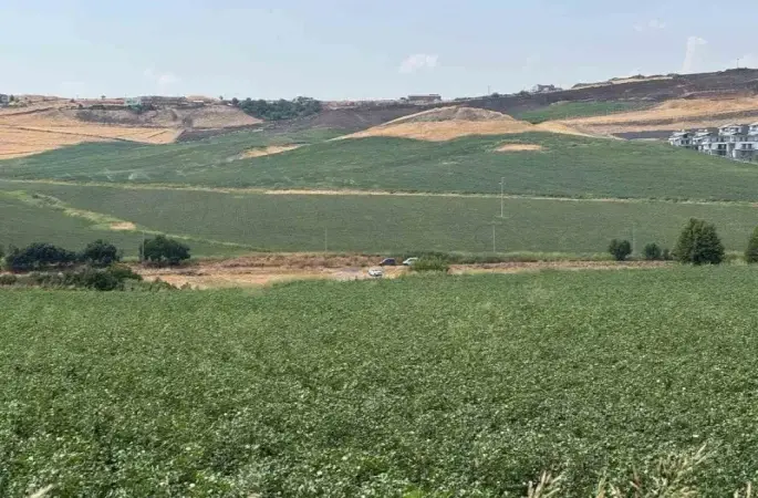 Kayıp Narin köye yakın gölet yanında çuval içinde bulundu