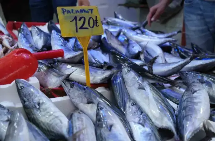 Palamut Rusya’ya kaçtı, fiyatlar 50 TL’den 120 TL’ye çıktı