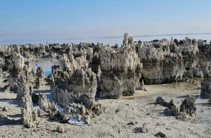 Van Gölü’nde su seviyesi düşmeye devam ediyor