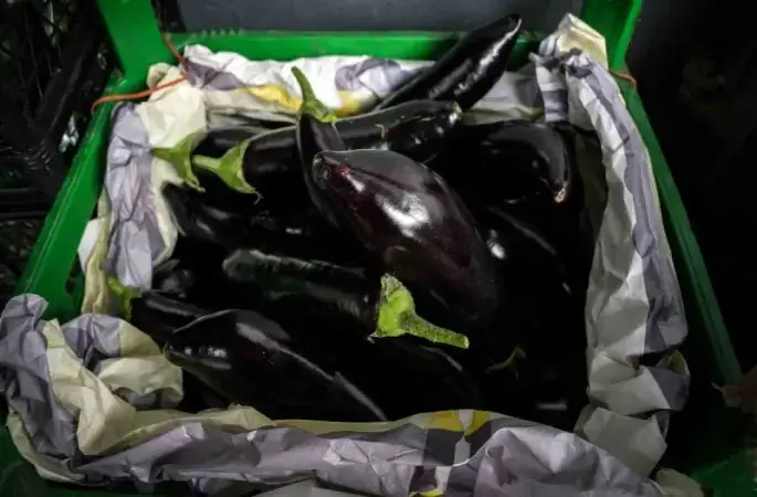 İstanbul’da patlıcan fiyatlarında dalgalanma