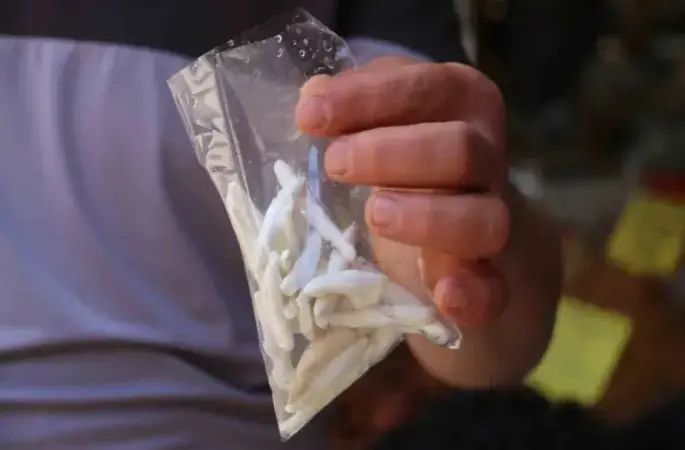 Dünyanın en pahalı sakızı, çeyrek altını geçti yarım altınla yarışıyor