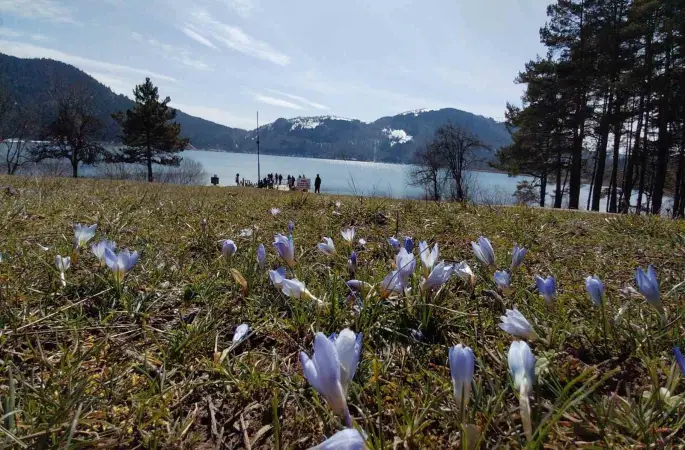 Abant’ta karların ardından bahar manzarası
