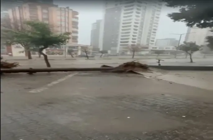 Adana’da fırtına ağaçları yerinden söktü
