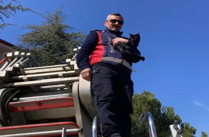 Ağaçta kalan kediyi itfaiye kurtardı
