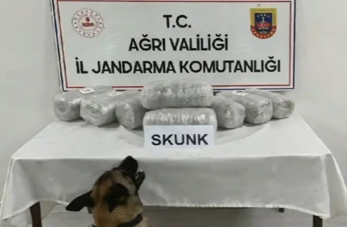Ağrı’da 10 kilogram skunk ele geçirildi, 1 şüpheli tutuklandı
