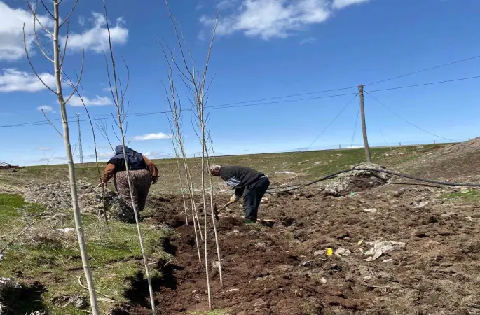 Ağrı’da vatandaşlar imece usulü fidan dikerek geleceğe nefes oluyor
