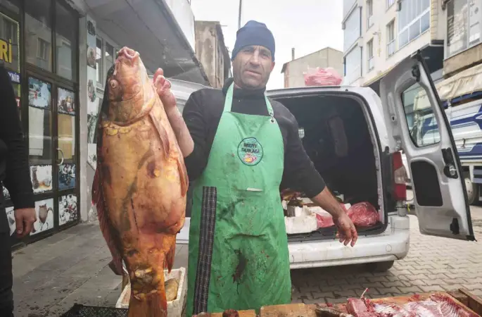Ahlat’ta dev sazan balıklarına yoğun ilgi
