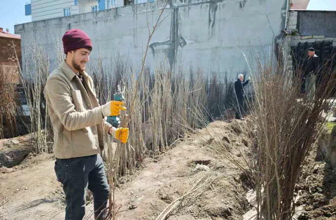 Ahlat’ta meyve fidanlarına ilgi
