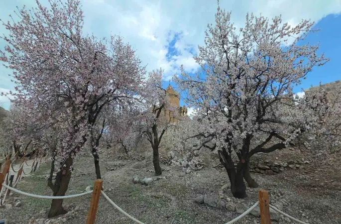 Akdamar Adası’nda renk cümbüşü
