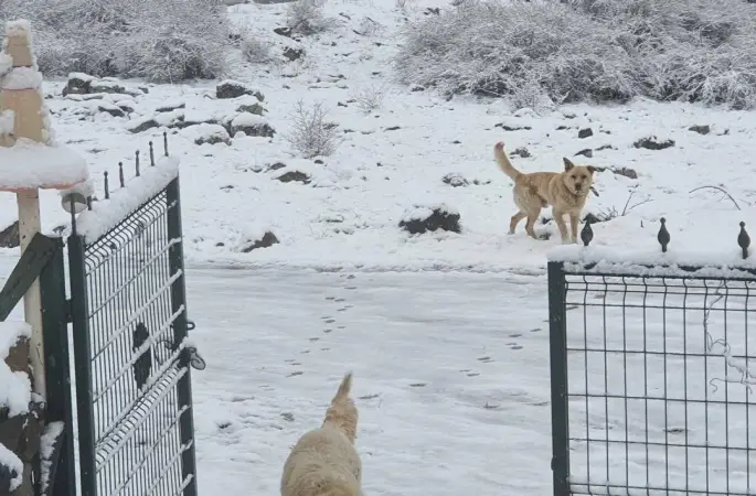Ankara’ya nisan ayında kar yağdı
