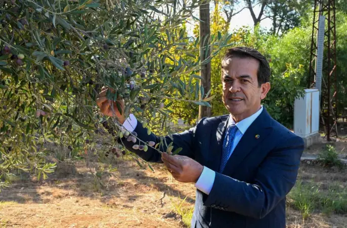 Antalya zeytinyağını markalaştıracak 30 öneri
