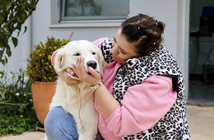 Antalya’da sokak hayvanları yeni sahiplerini bekliyor
