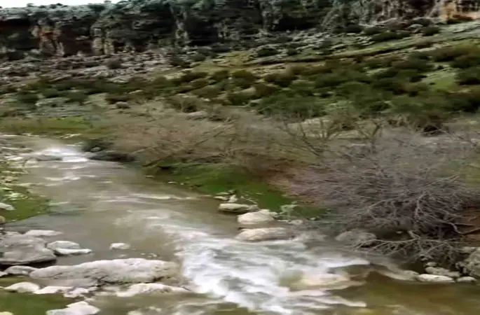 Araban’da kuruyan Ardıl Çayı yıllar sonra yeniden akmaya başladı
