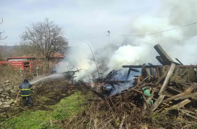 Araç yangını odunluğa sıçradı
