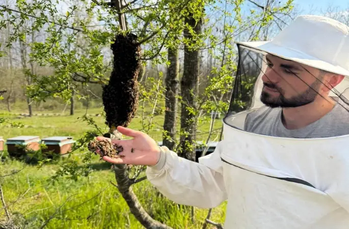 Arıcılara sahada destek
