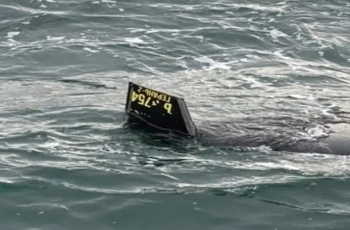 Arnavutköy Karaburun açıklarında balıkçılar denizde insansız hava aracı olduğu düşünülen bir cisim bulundu. Balıkçıların ihbarı üzerine bölgeye sahil güvenlik ekipleri sevk edildi. Ekiplerin incelemesi devam ediyor.
