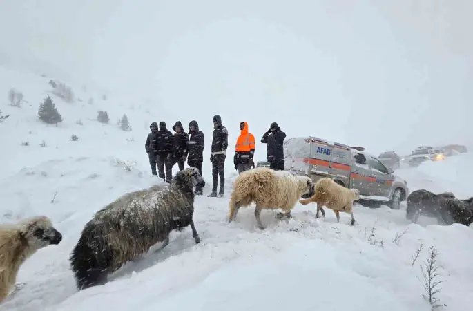 Artvin’de çığ altında kalan 3 çobandan birinin cansız bedenine ulaşıldı
