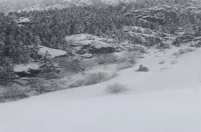 Artvin’de kar ulaşımı vurdu: 120 köy yolu kapalı
