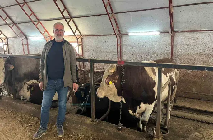 Artvin’de kurbanlıklar pazara çıkmayı bekliyor
