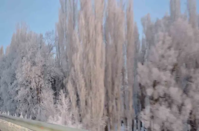 Aşkale’de Sibirya soğukları: Termometreler -30’u gösterdi
