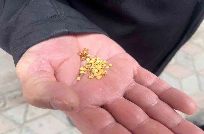 Ata tohumlarla tarımın hafızasını yaşatıyor
