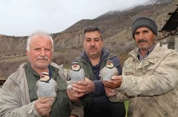 Atadan toruna kalan miras:  "Baskın keklik" yöntemiyle dev envanter
