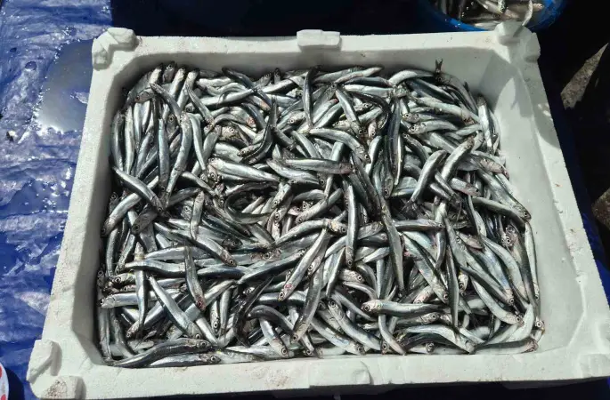 Av yasağı öncesi pazarda yoğunluk
