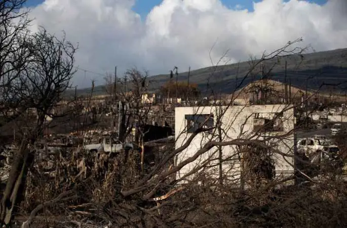 Hawaii’de can kaybı 96’ya yükseldi